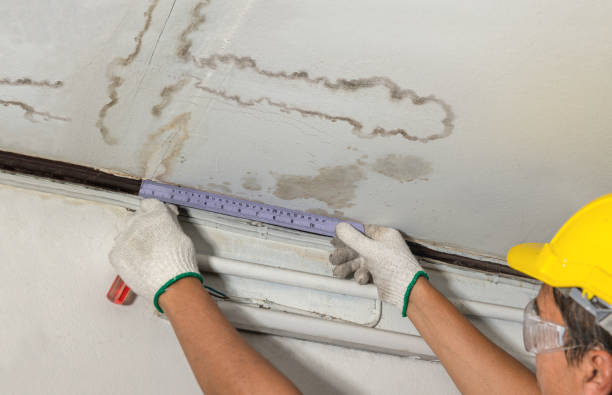 Reliable Water Damage contractor in Lebanon, CT by Water Damage Irwin